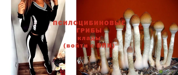 прущая мука Иннополис
