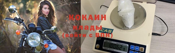 амф Инсар