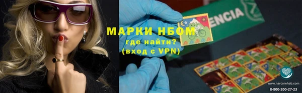 амф Инсар