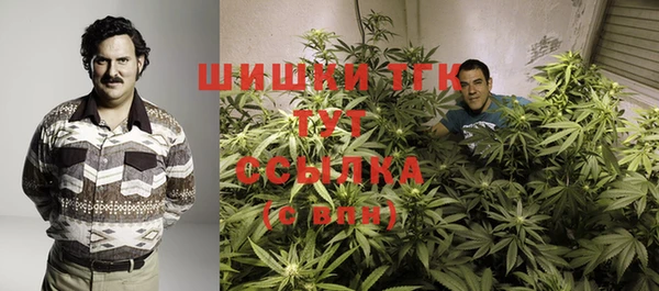 гидропоника Инта