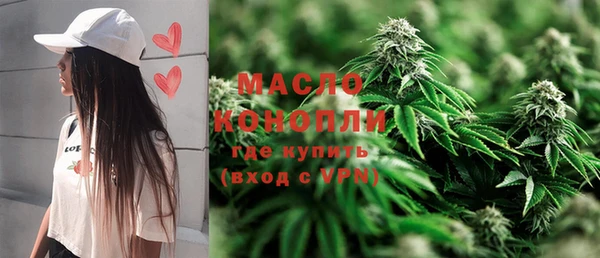 гидропоника Инта