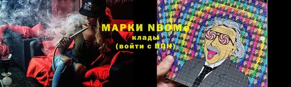 амф Инсар