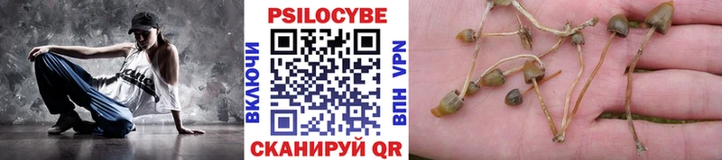 Купить закладки  Крым  Галлюциногенные грибы мухоморы 